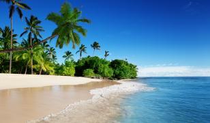 Caribbean Sea Mural