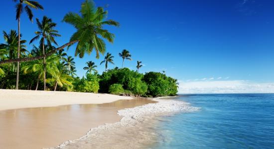 Caribbean Sea Mural