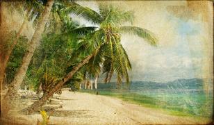 Vintage Beach Mural