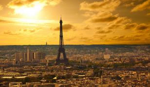 Paris Skyline Mural