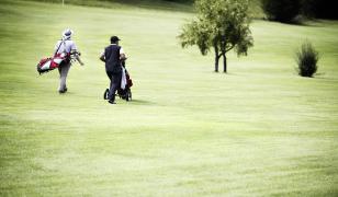 Walking Golfers Mural