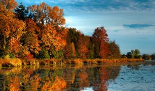 Ontario Lake Mural