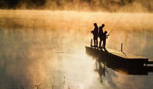 Morning Fishing Mural