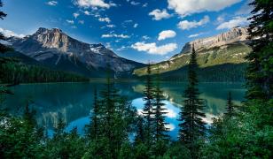 British Columbia Lake Mural