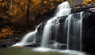 Yellow Forest Waterfall Mural