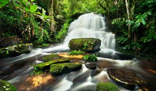 National Park Waterfall Mural