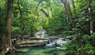 Erawan Waterfall Mural