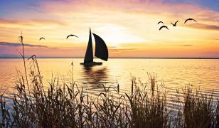 Sailing With Seagulls Mural