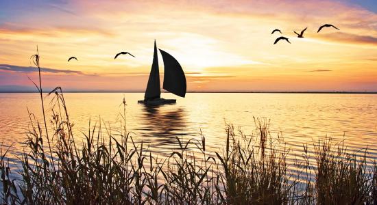 Sailing With Seagulls Mural