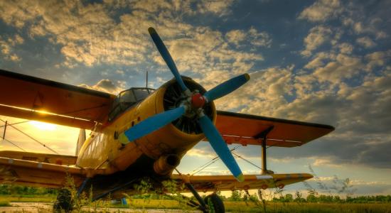 Plane at Sunset Mural