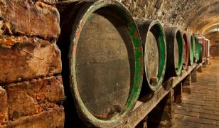 Czech Wine Cellar Mural