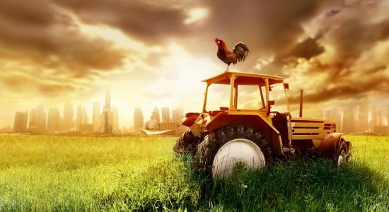 Tractor and Chicken Mural
